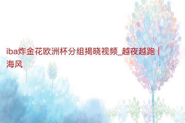 iba炸金花欧洲杯分组揭晓视频_越夜越跑 | 海风
