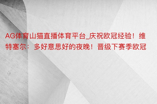 AG体育山猫直播体育平台_庆祝欧冠经验!维特塞尔:多好意思好的夜晚!晋级下赛季欧冠